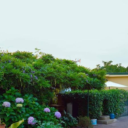Villa A Tintureira São Martinho de Antas Exterior foto