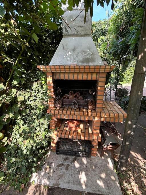 Villa A Tintureira São Martinho de Antas Exterior foto