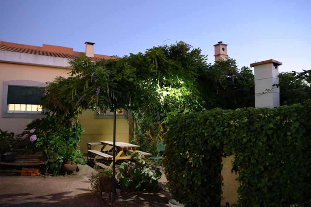 Villa A Tintureira São Martinho de Antas Exterior foto