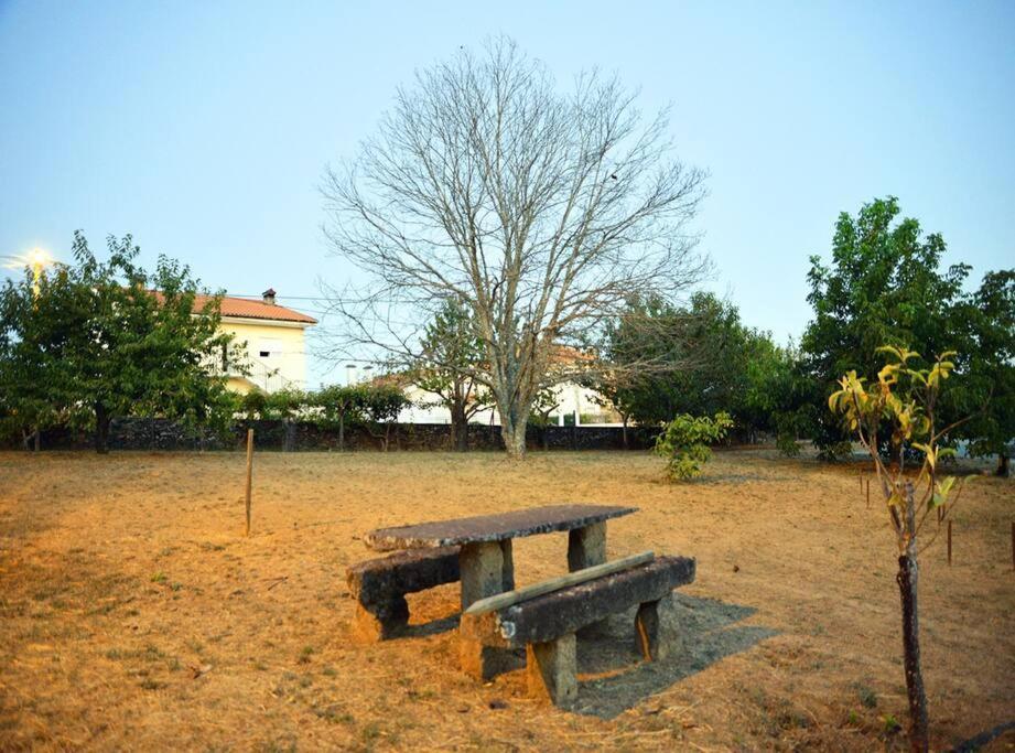 Villa A Tintureira São Martinho de Antas Exterior foto